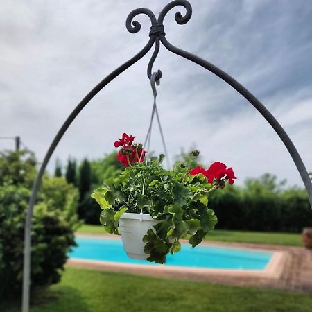 B&B Il Casolare Di Bonci Santa Maria a Monte Exterior foto
