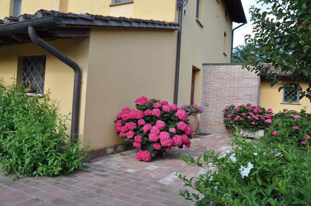 B&B Il Casolare Di Bonci Santa Maria a Monte Exterior foto